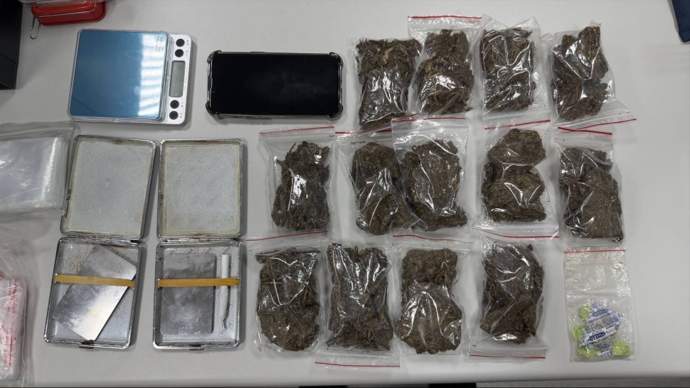 全國同步執行「0917查緝施用大麻黑數專案」 挖掘大麻黑數打擊毒品犯罪