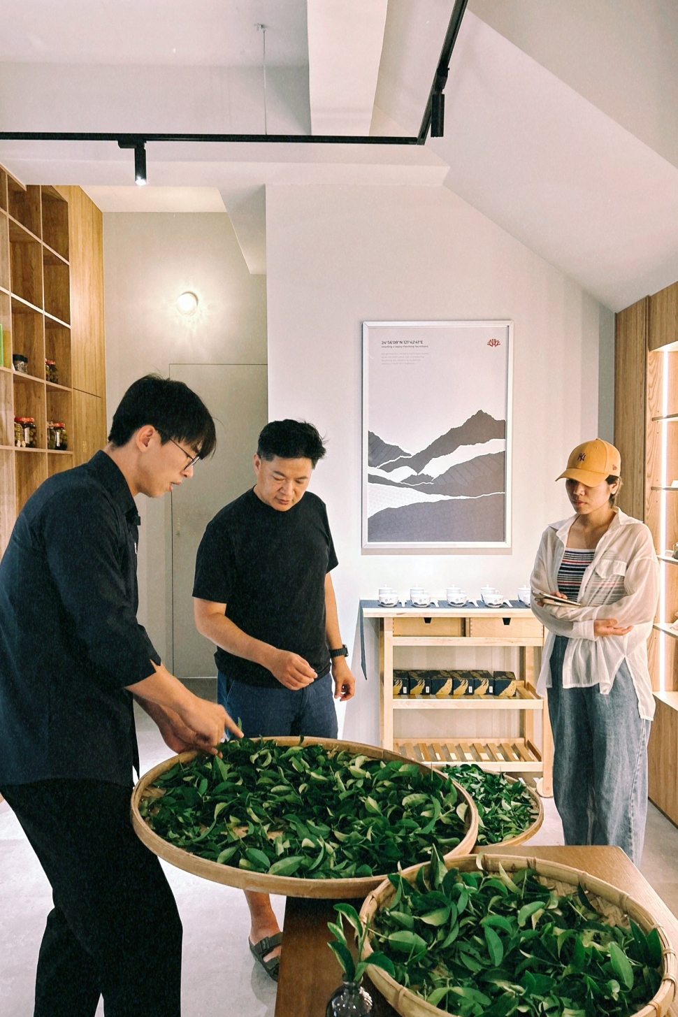 「新北農創所一號」有種茶 推出系列體驗活動與秋季優惠