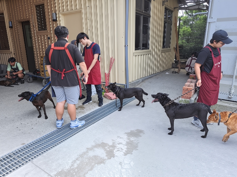 世界保健日，淡水動物之家為毛寶貝全面體檢，把關動物健康