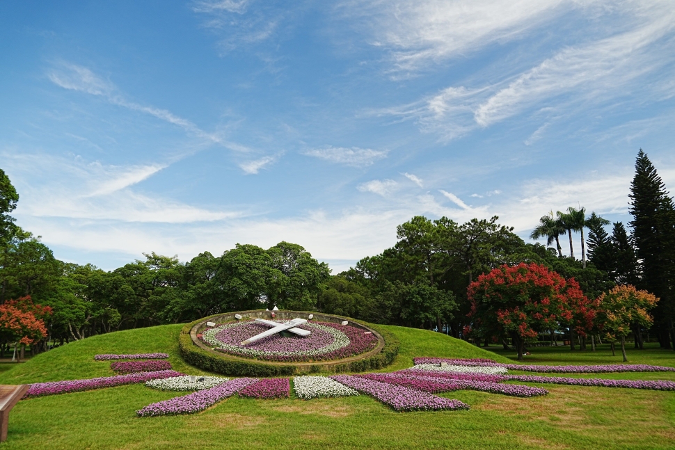 花鐘正美 蝴蝶自來 青年公園秋日最賞心
