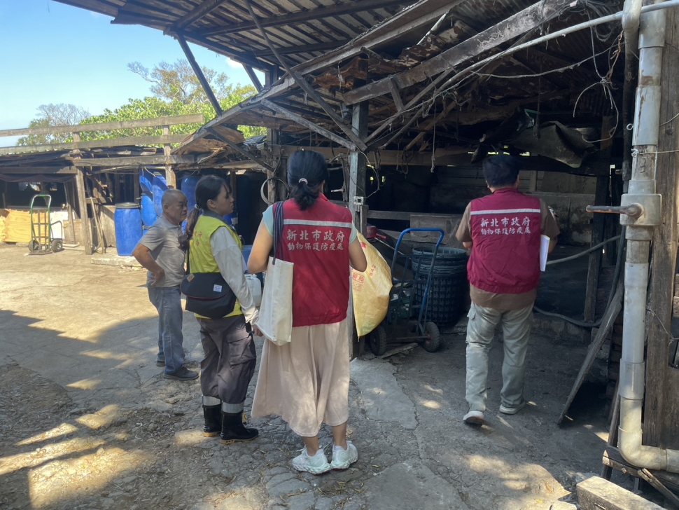 新北全面啟動非洲豬瘟防疫，確保養豬場及食品安全