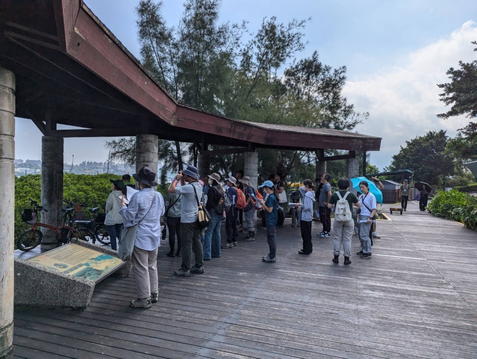 親子一同走進紅樹林的奇幻世界 挖子尾賞鳥趣