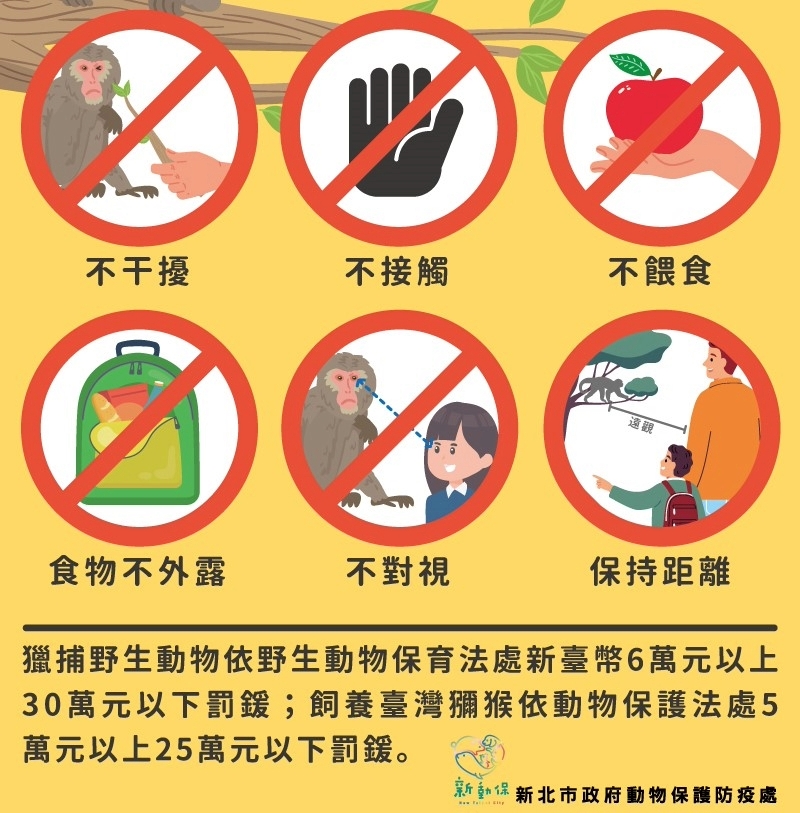 12月14日世界猴子日 新北市動保處呼籲和平共存遵守「五大原則」