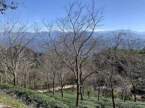 冬遊台南龜丹溫泉泡湯新體驗 邀您走進山林秘境　 體驗慢活療癒之旅