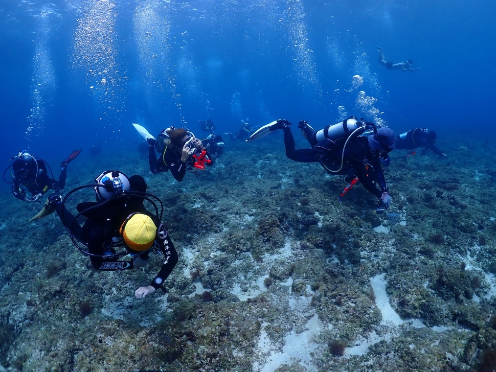 領運動幣潛水去！海委會加碼，攜手友善潛店守護蔚藍海洋