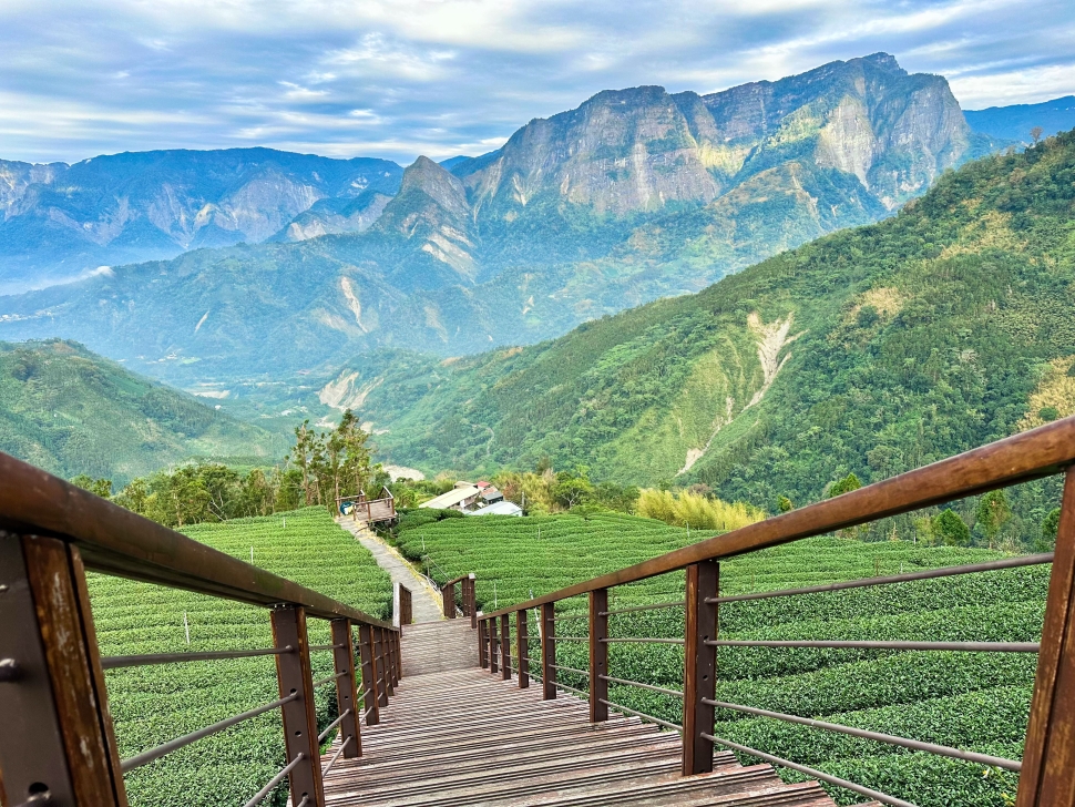 阿里山療癒慢旅，老宅鍋物、茶園與螢光夜景串聯山林風貌