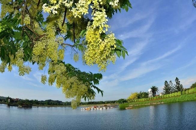 「旅遊臺南・住宿點數」住宿振興活動 帶動平日旅遊住宿升溫