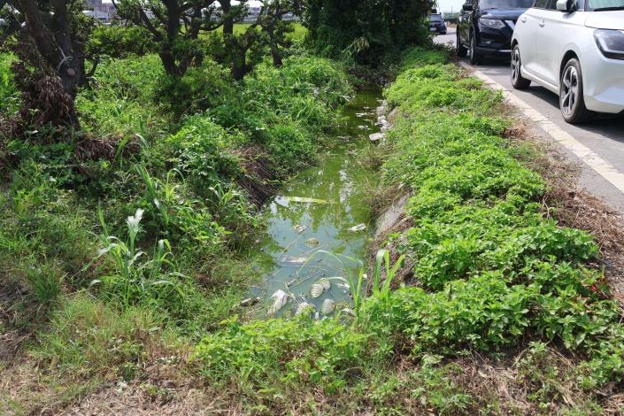 雲縣府投入888萬元　改善崙背羅厝農地重劃區農水路