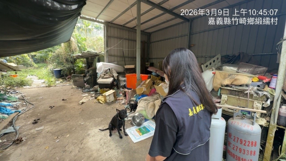 飼主放養犬隻肇事　重罰5.3萬元並移送法辦