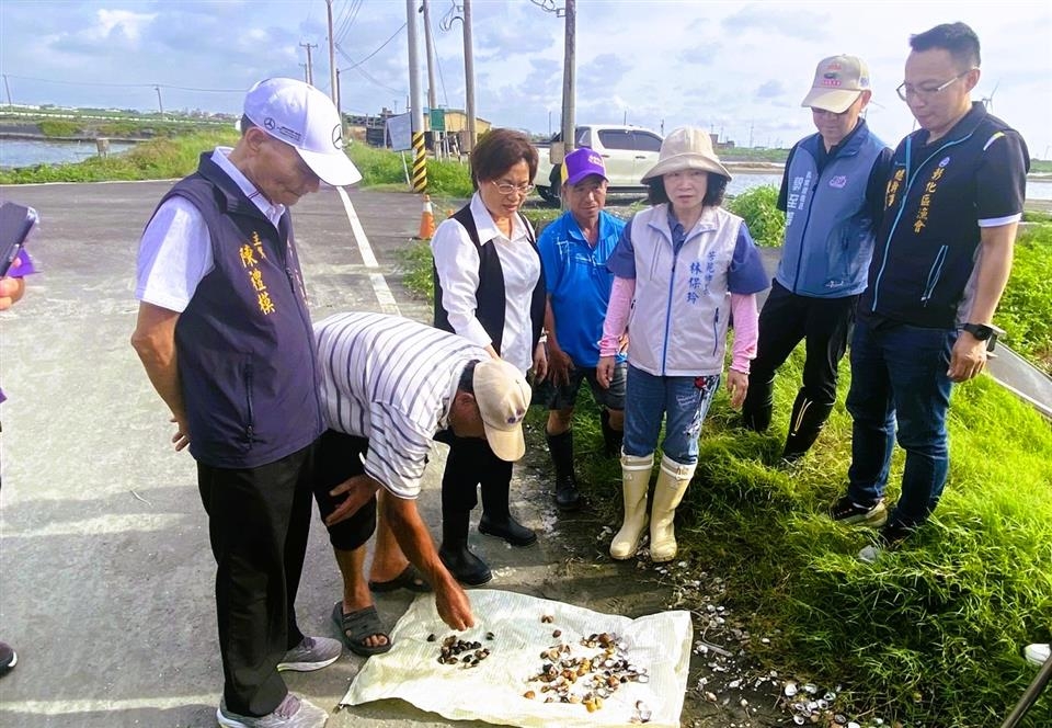 彰化文蛤豪雨災損　爭取中央納入天然災害現金救助