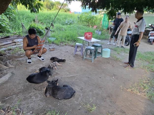 安南區疑似宰殺犬隻案　動保處：犬隻X光檢查無骨折可疑檢體送驗確認