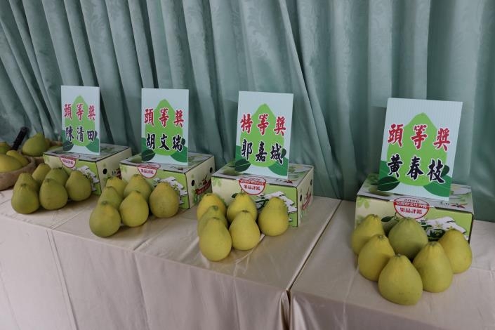 2026台南文旦王出爐　黃偉哲：風災後復耕展現農業韌性，歡迎中秋多加選購