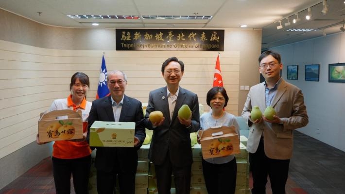 台南文旦外銷新加坡，搶攻中秋伴手禮市場